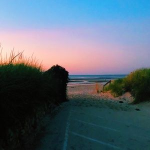 Meet your Posher, Lucy